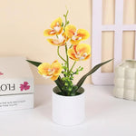 décoration intérieure orchidées artificielles pots blancs fleurs simples feuilles vertes moderne
