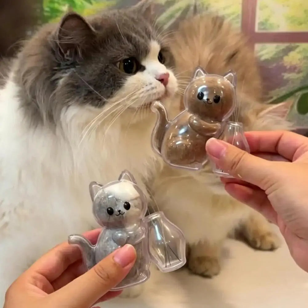boîtes rangement aimantées transparentes forme chat kawaii poils masse opaque vase decoratif mignon