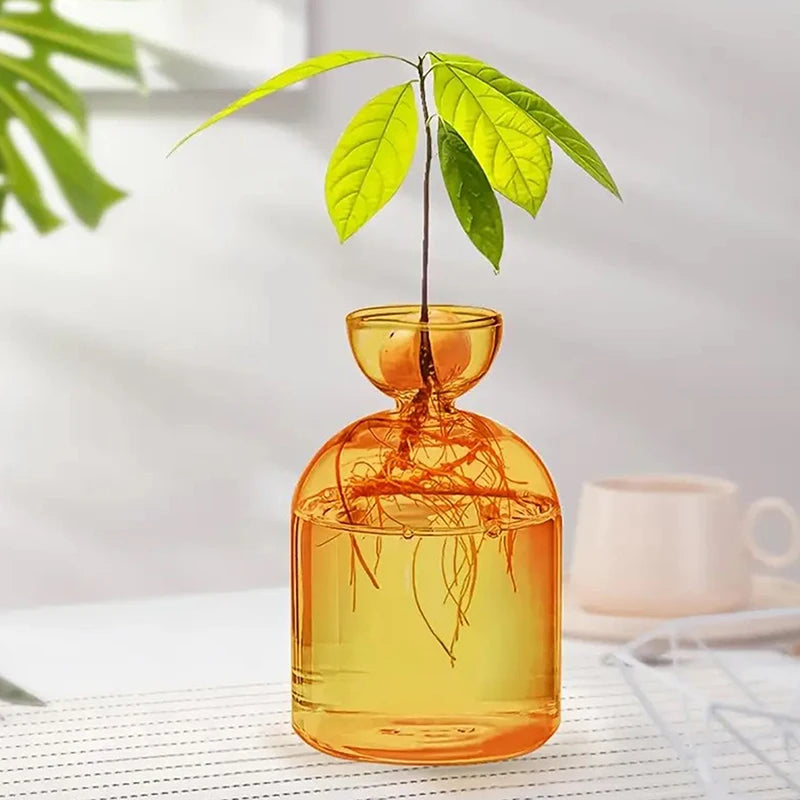Pot plante moderne transparent coloré hauteur 15cm eau plante inclusion rose orange bleu vert