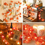 guirlande lumineuse feuilles érable 10 20 40 led usb batterie decoration automate festive exterieure