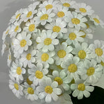 décoration intérieure fleurs artificielles marguerites céramique blanc jaune réaliste saint valentin fête