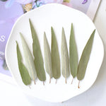 décoration murale branches violette feuilles naturelles intérieur rustique 12 pièces