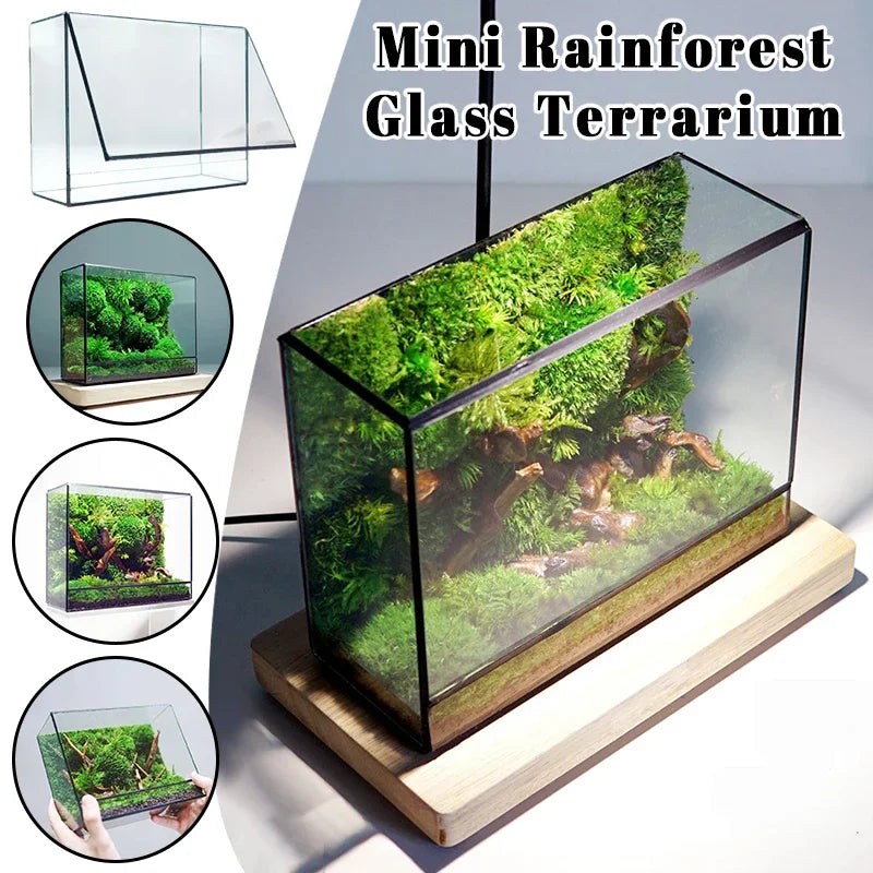 terramium verre transparent plante verte moderne naturel branchages terre inclusion