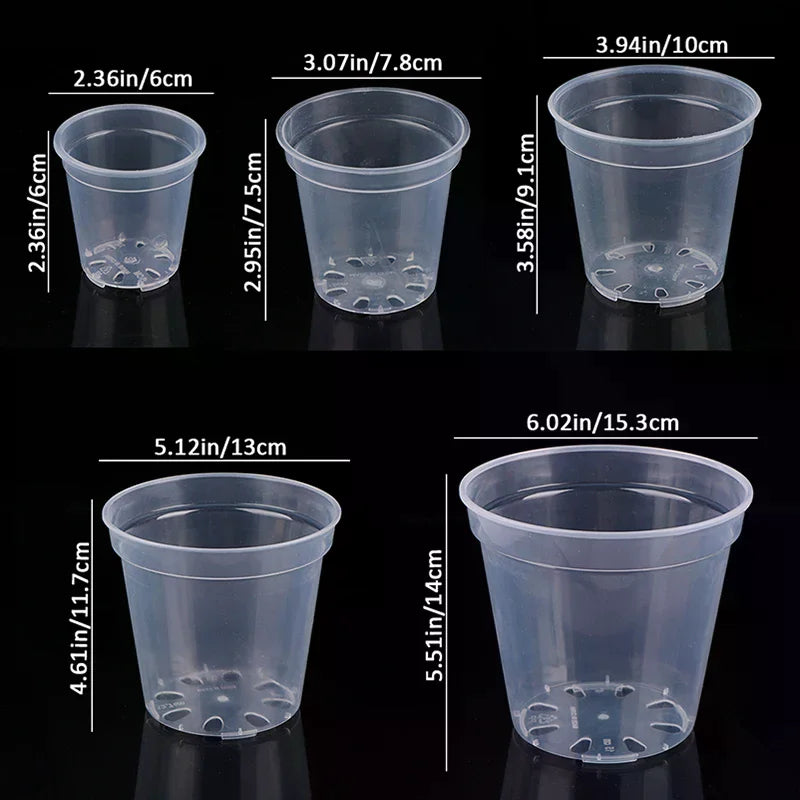 Pots semis transparents trou drainage moderne pratique couvercle