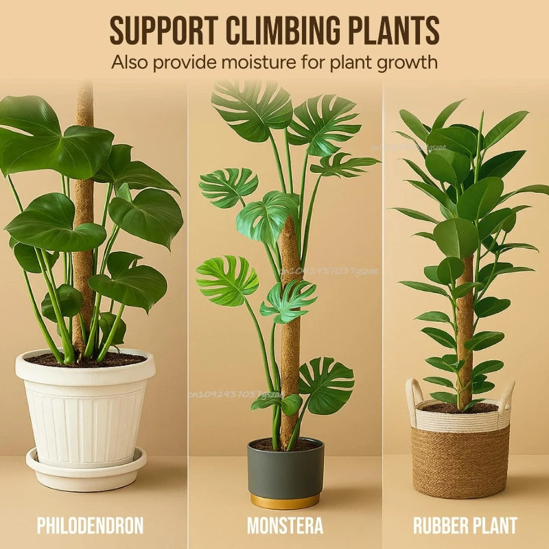 support plante grimpante fibre végétale marron clair naturelle rustique facile utiliser adhésif twine velcrointérieurextérieurbalconjardin