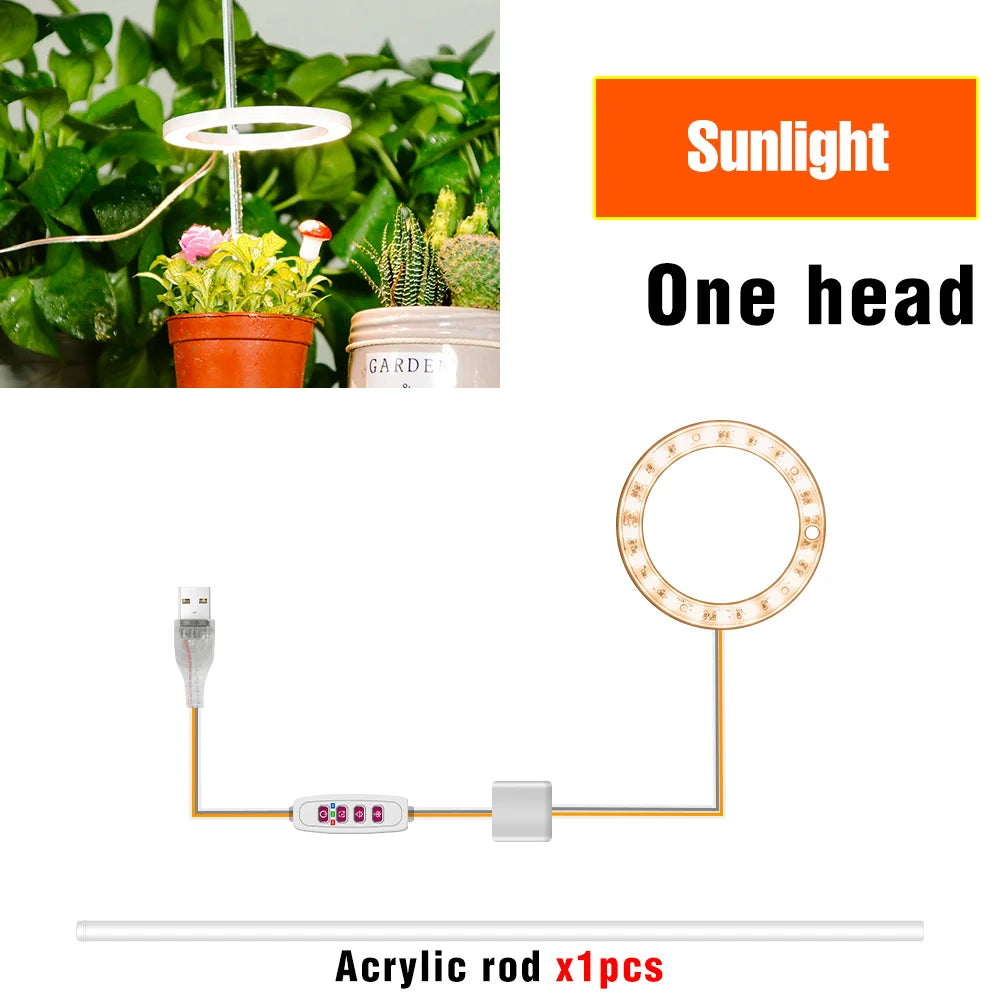 lumière croissance led usb 5v pink red blue sunlight controle remote moderne hydroponique