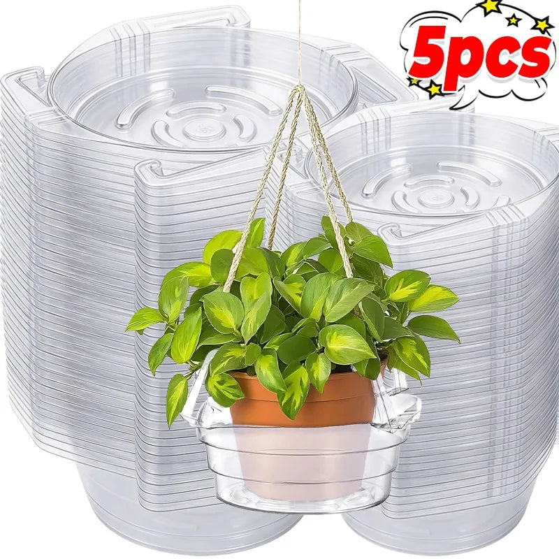 supports plante suspendus transparents modernes clips gravés jardin maison salon chambre