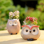 cache pot oiseau stylisé succulente céramique glacé rose clair beige noir