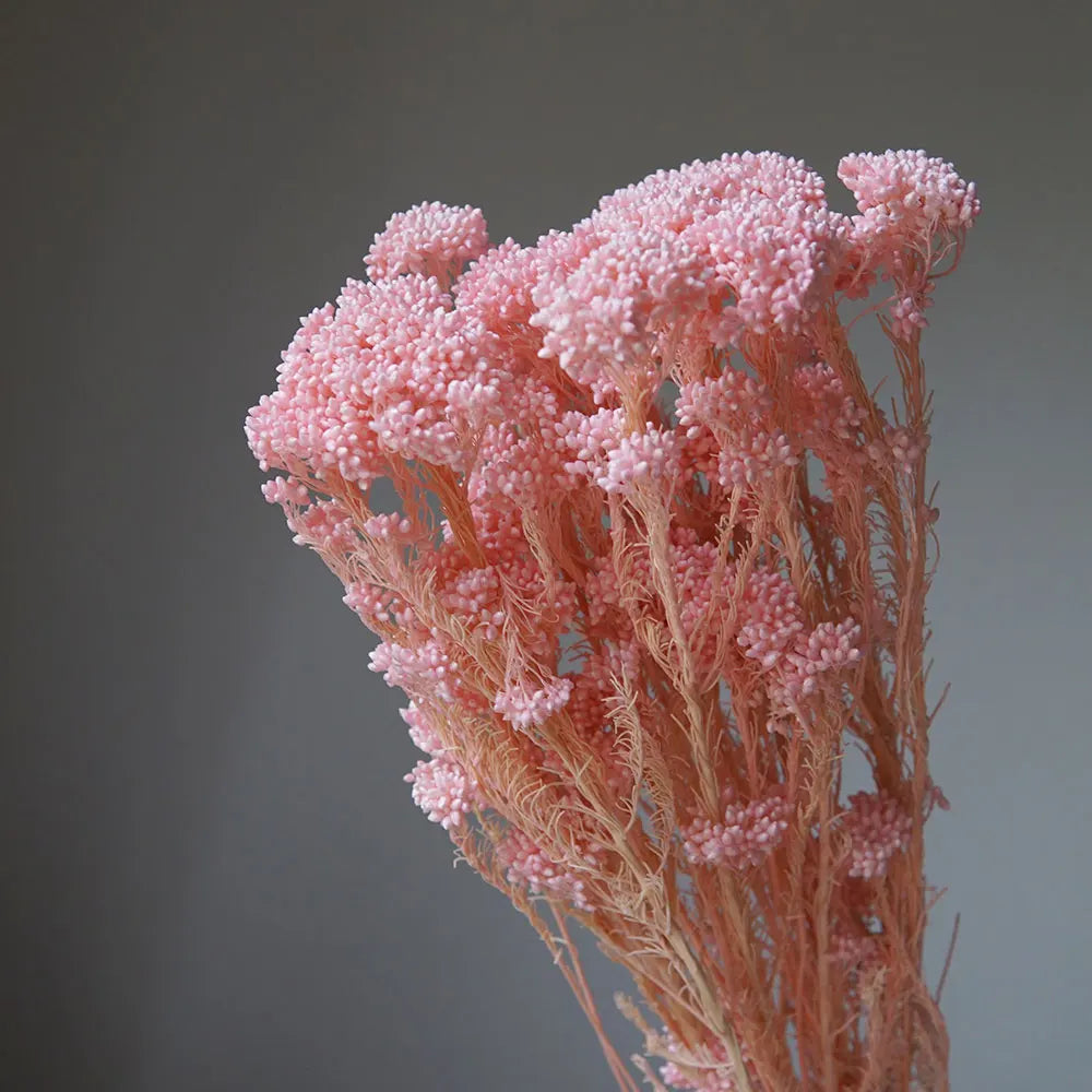 bouquet fleurs séchées naturelles rustique décoration maison mariage anniversaire petit volume décoratif