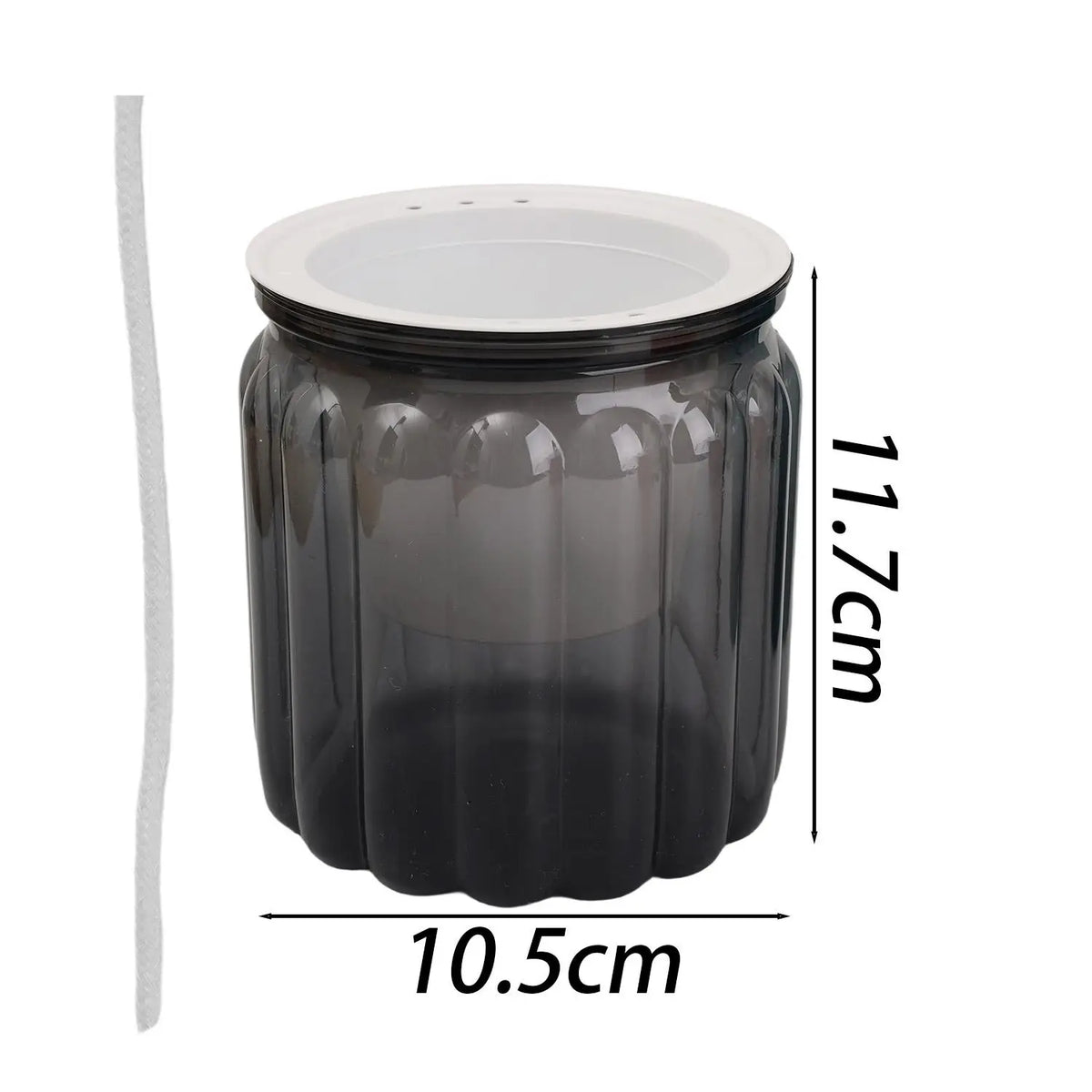 pot plante moderne transparent rayures vertes fleur intérieure minimaliste