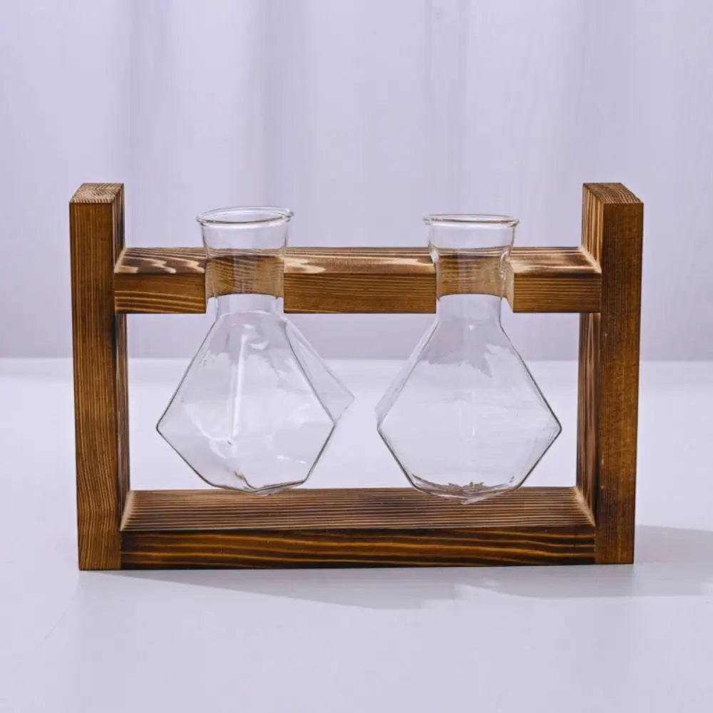 vases transparents modernes verre rond geometrique decoration plante verte