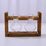 vases transparents modernes verre rond geometrique decoration plante verte