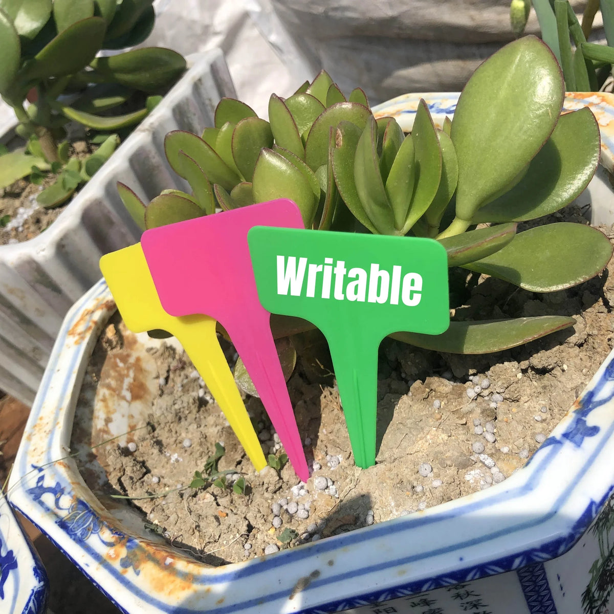 étiquettes plantes couleur moderne pratique jardin pot semis decoration bleu rose vert jaune violet