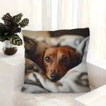 housse coussin chien teckel animal mignon polyester moderne 45x45cm sans insert opacité contemporain