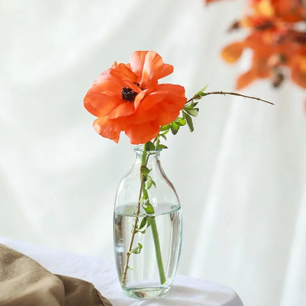 vases transparent modernes marron orange décoration maison simple minimaliste