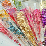 bouquets fleurs séchées multicolores decoration maison anniversaire mariage festive naturelle rustique