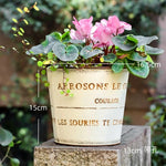 pots fleurs métal vintage rustique blanc crème bronze cyclamen tulipes succulentes bonsaï drainageextérieur balcon