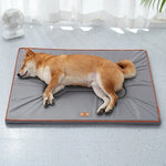 tapis imperméable chiens solide beige gris oxford moderne nettoyage xl