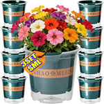 pots fleurs auto arrosants facilité remplissage protection racines plantes vertes fenêtres moderne opacité grille