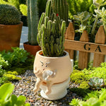 pot fleurs forme toilette cactus humour décoratif maison cadeau anniversaire noël