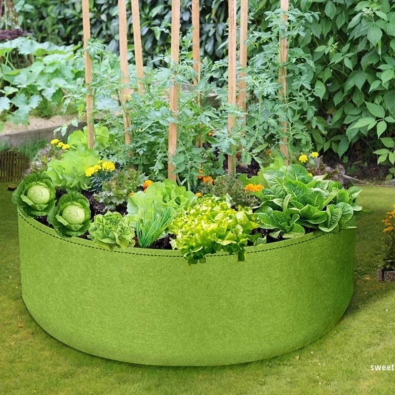 Bacs légumes tissu noir vert modernes grands jardins extérieurs pot plantation circulaire feutre