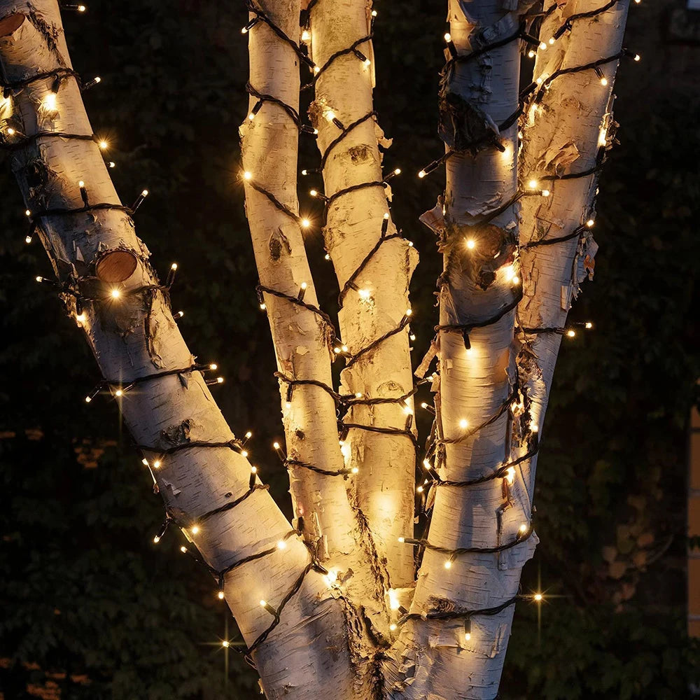 Guirlande LED étanche pour mariage en extérieur