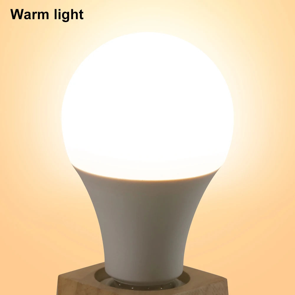 ampoule led e27 e14 blanc chaud froid 12w 6w 3w moderne opacité mat certification