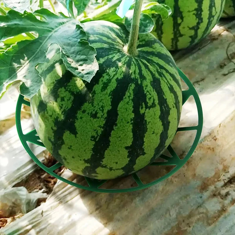 plateau plastique jardinage support fruits agricole antirouille stable vert pastèque melon courge