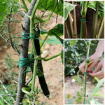 câble jardinage vert adhésif coupe fil support plantes moderne organisation