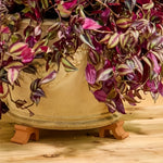 supports pots fleurs noirs modernes plantes pot set opaques