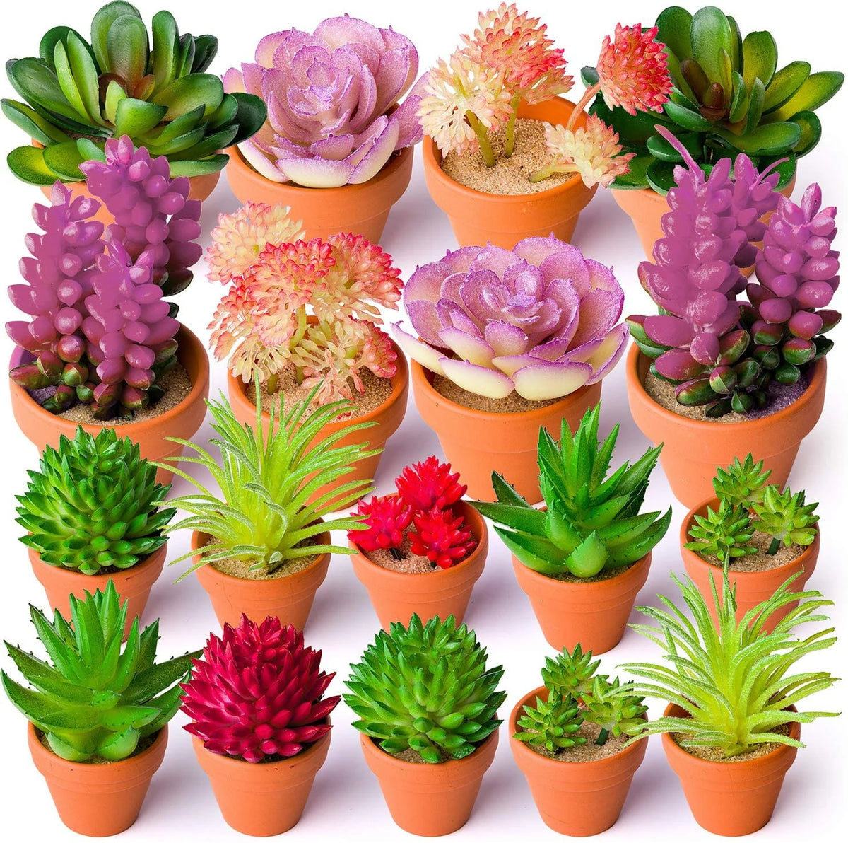 plantes succulentes artificielles vert rose violet rouge moderne décoratif extérieur exposition