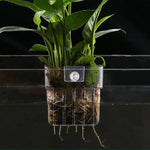 Décoration murale d'aquarium avec porte-plante