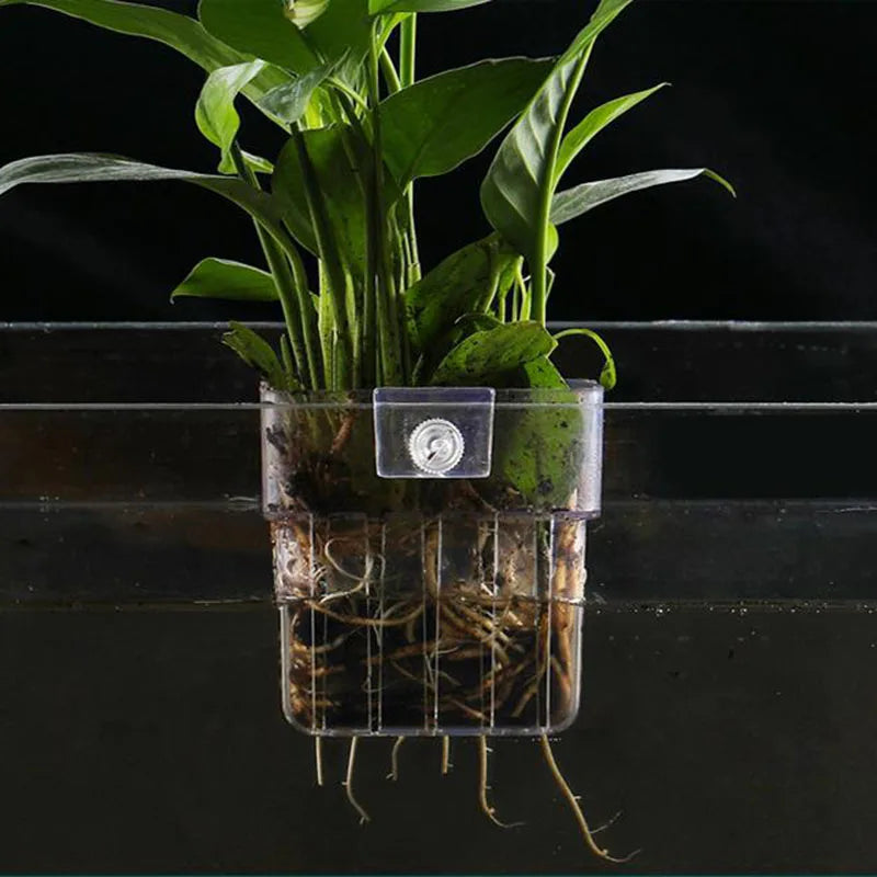 Décoration murale d'aquarium avec porte-plante