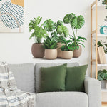 sticker mural plantes pots décoration intérieure moderne adhésif résistant eau chambre salon