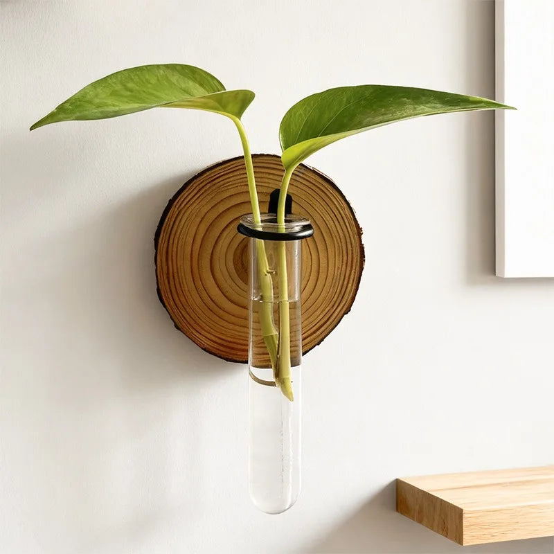 vase verre transparent support bois feuilles vertes deco murale moderne naturelle fixations rustic minimaliste