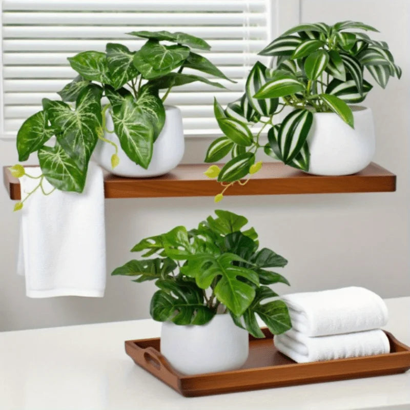 décoration intérieure plante verte moderne mini bonsaï pot blanc feuilles vertes anniversaire chambre salon