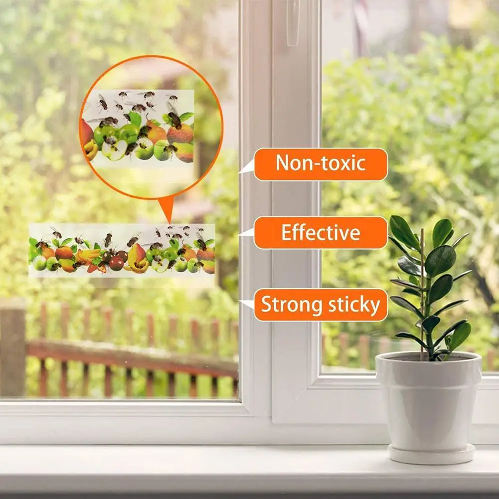 pièges mouches adhésifs fruits blanc guide utilisation pièces insectes fenêtres maison jardin simples