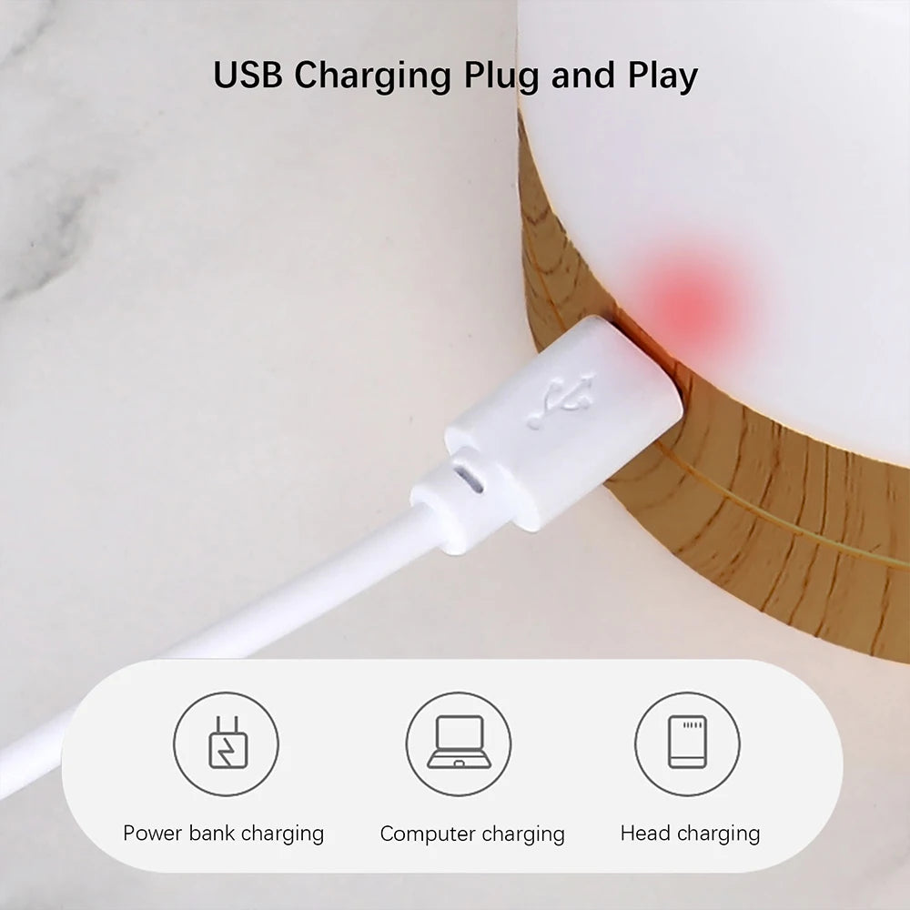 lampe table portable blanc translucide texture bois moderne bluetooth rechargeable via usb