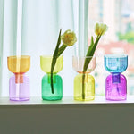 Vases modernes transparents vert bleu orange rose jaune set deux mini vases terrarium fonction