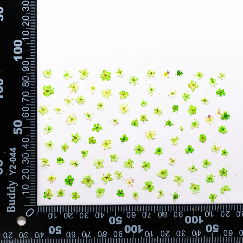 fleurs séchées naturelles bleu vert orange rose violet jaunes fleurs simples décoration diy bijoux