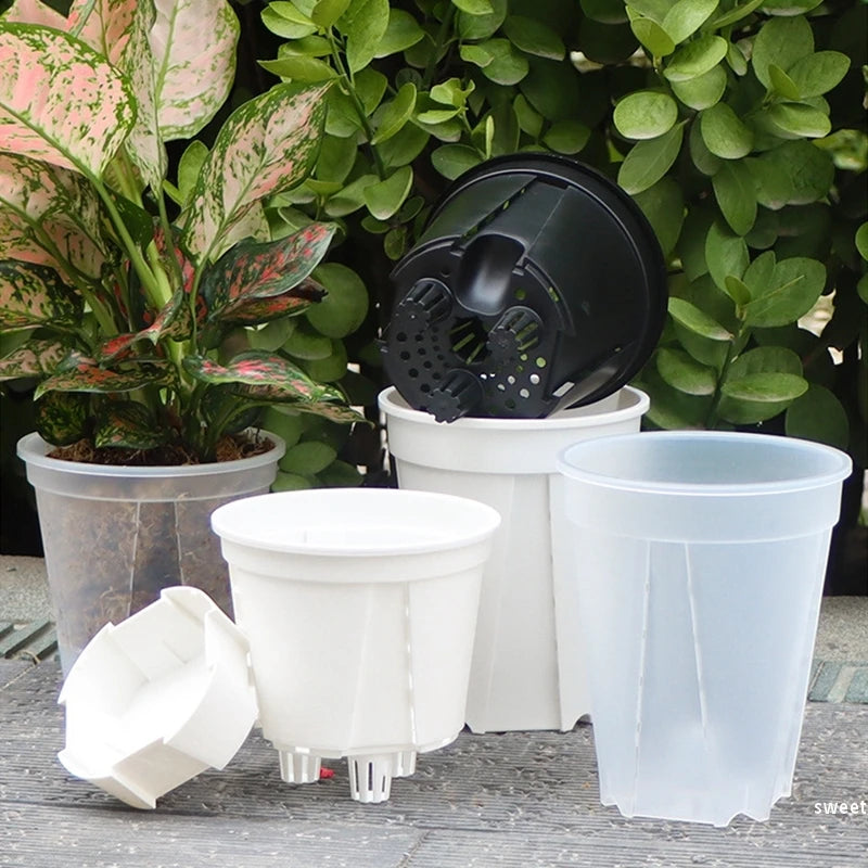 pots plante moderne auto arrosants transparents blancs hydroponiques lazy eyelets