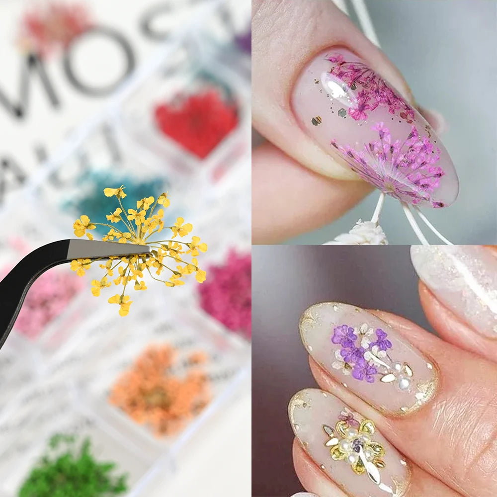 paillettes fleurs séchées naturelles nail art décoration 3d manucure artisanat bijoux ongles colorés