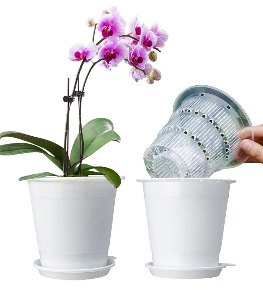 Cache-pot blanc transparent pour orchidées sur table en bois