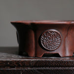 cache pot marron foncé texture bois gravure circulaire finition glacée classique plante verte chambre