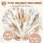 bouquet fleurs séchées naturel pampas blanc beige rustique décoration maison mariage anniversaire party