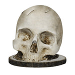 rangement couteaux tête mort sculptée texture granuleuse détails sombres réaliste gris blancversible polyester okolets