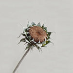 fleurs artificielles tournesols jaunes vert bruns réalistes intérieures mariage anniversaire