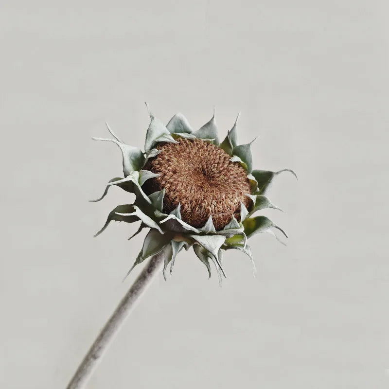fleurs artificielles tournesols jaunes vert bruns réalistes intérieures mariage anniversaire