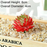 plantes succulentes artificielles décoration maison extérieur bonsaï feuilles pointues rouge vert rose bleu violet