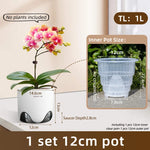 pots orchidées modernes blancs transparents 15cm 12cm 10cm aircone racines rebondissement